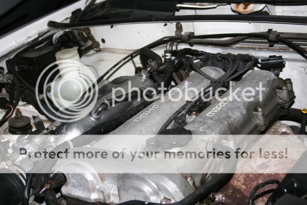 enginebay.jpg