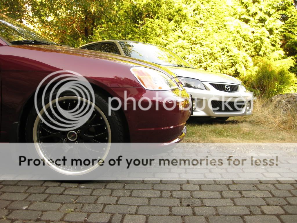 IMG_1464copy.jpg