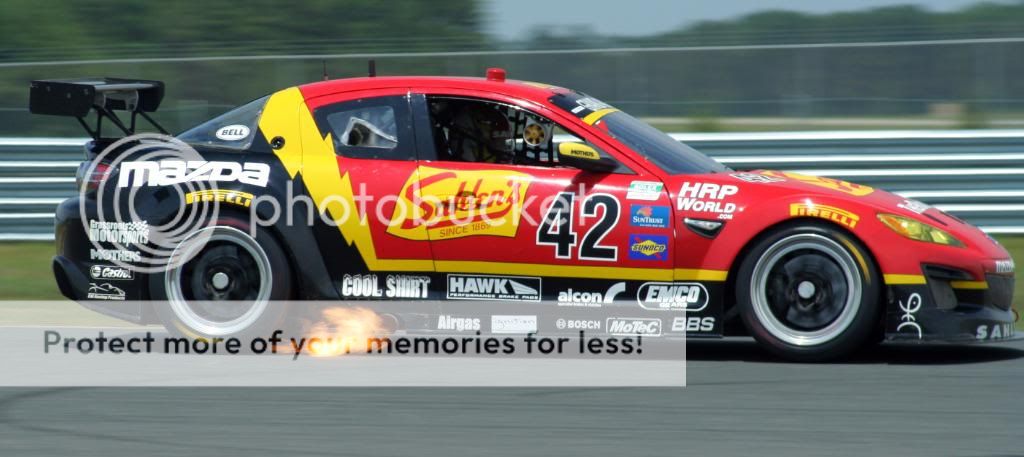 IMG_2364.jpg
