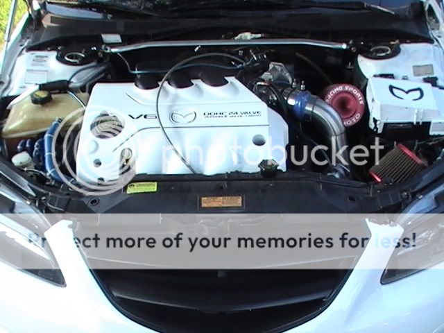 PIC_0885.jpg