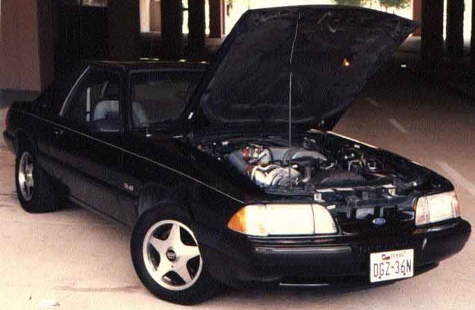 MUSTANG1_zpsee310dfe.jpg