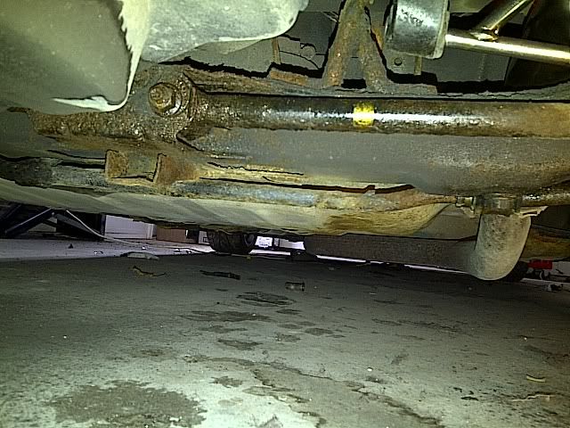 IMG-20110326-00197-1.jpg