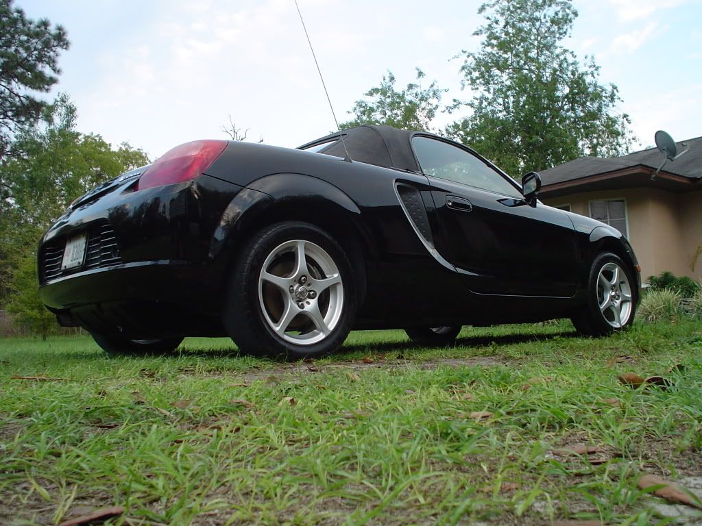 dlmr2003.jpg
