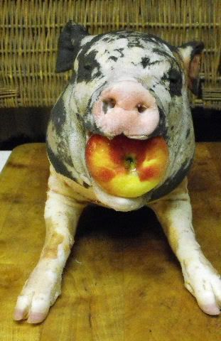 pig.jpg