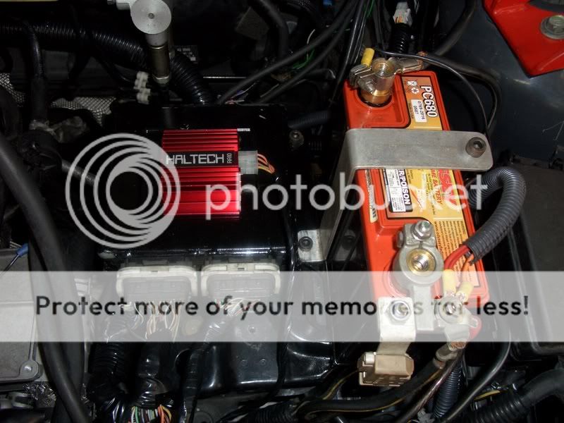 CIMG0362.jpg