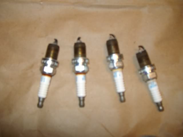 SANY0441.jpg