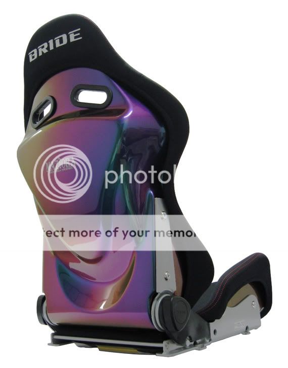 brid.jpg