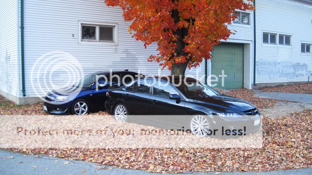 IMG_8690COPY.jpg