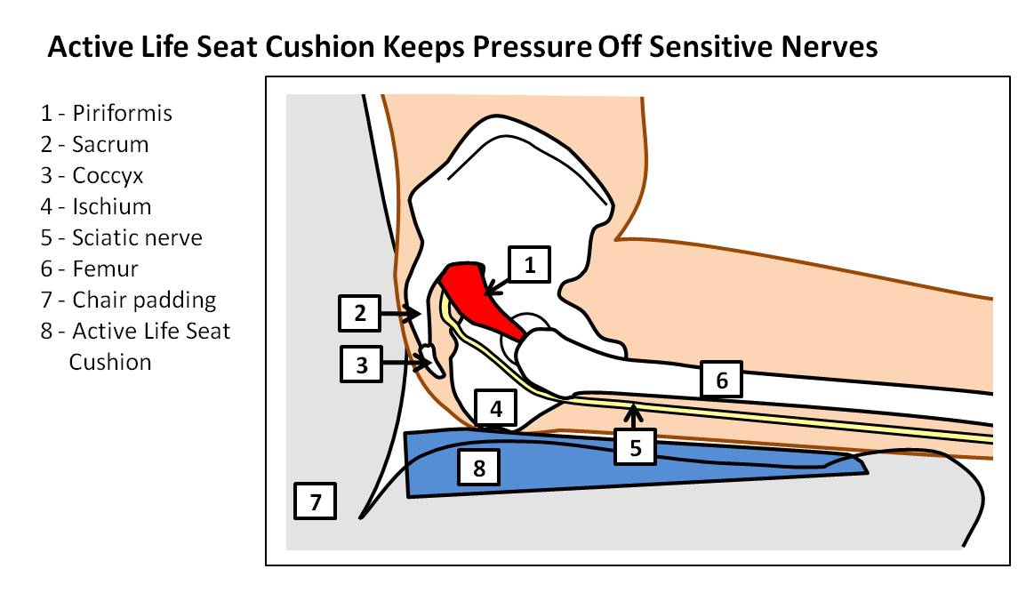 seatcushion.jpg