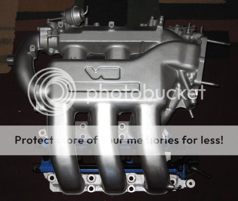 55cb9509.jpg