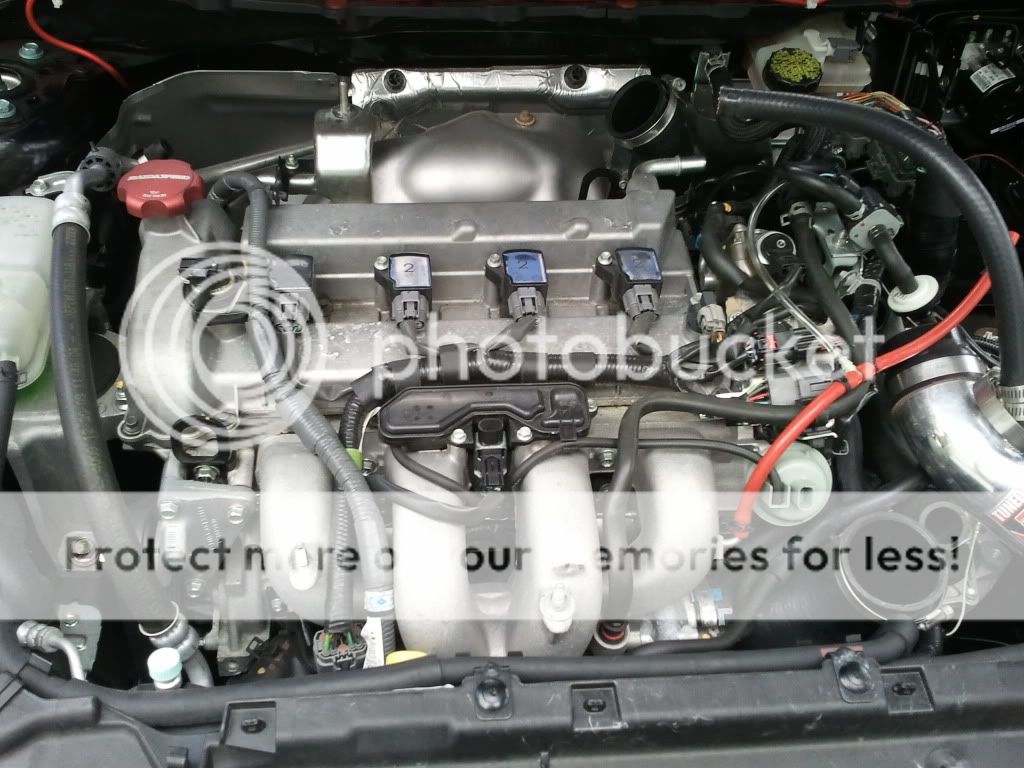 2011-03-26160712.jpg