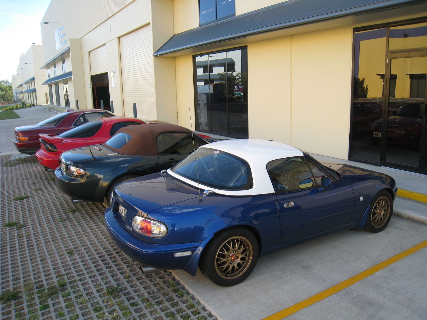 23-01-2011007.jpg