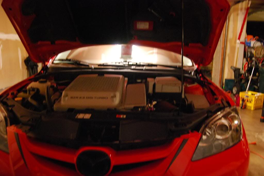 20091108_0280.jpg
