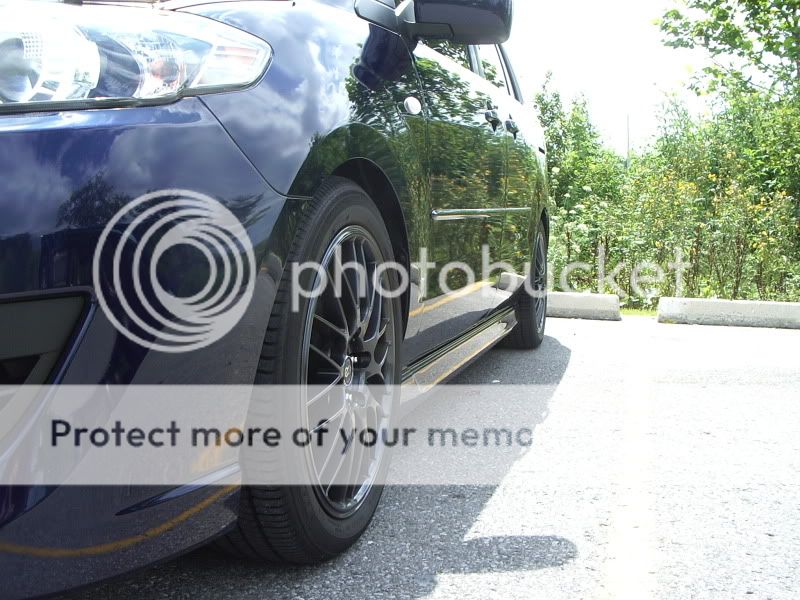 IMGP6413.jpg