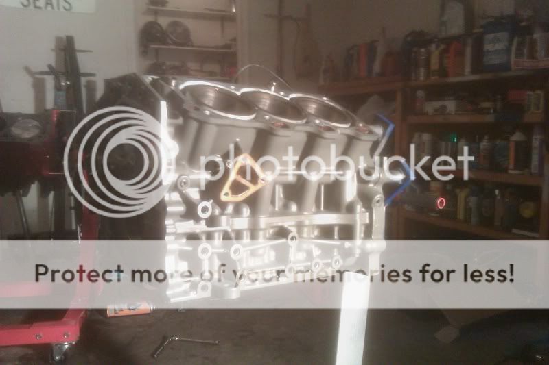 IMAG0110.jpg