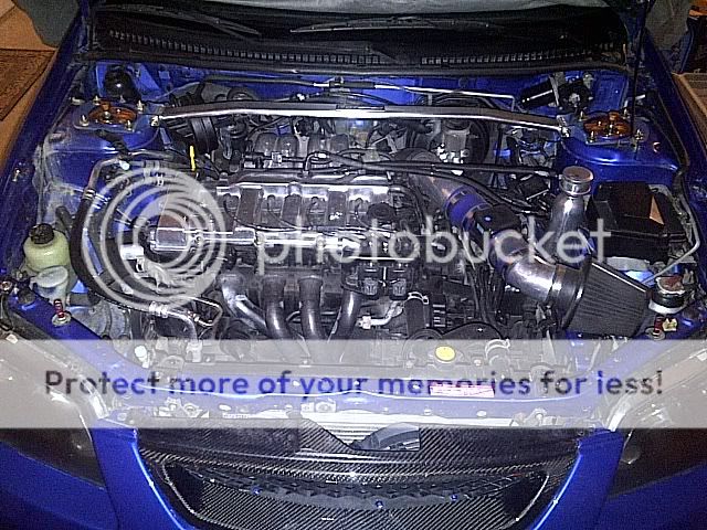 IMG-20111122-00278.jpg