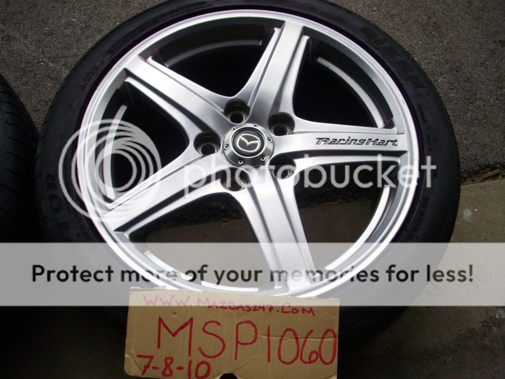 IMGP7098.jpg