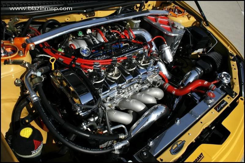 msp_8622.jpg