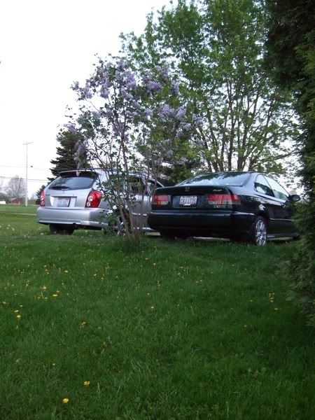 CivicP5_004.jpg