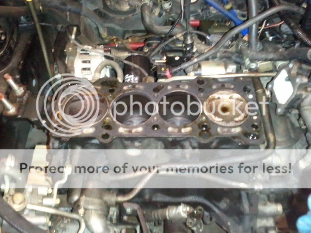2011-07-20081245.jpg