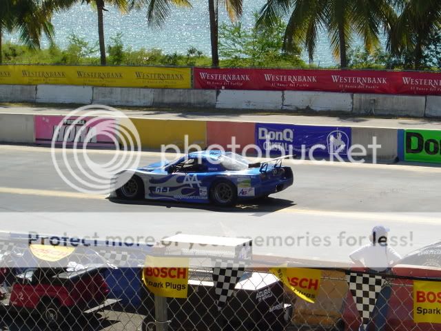 DSC02232.jpg