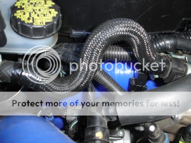 DSC06993.jpg