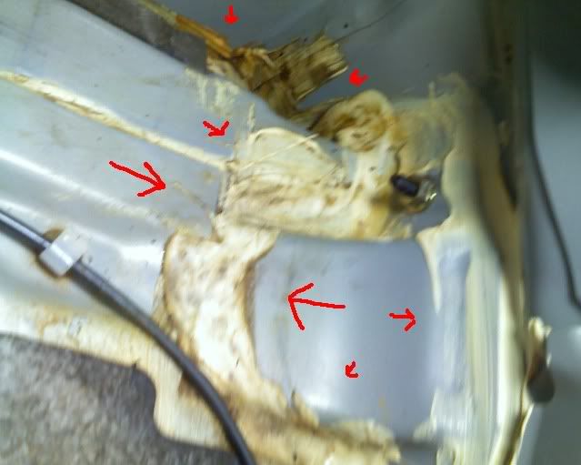 car10.jpg