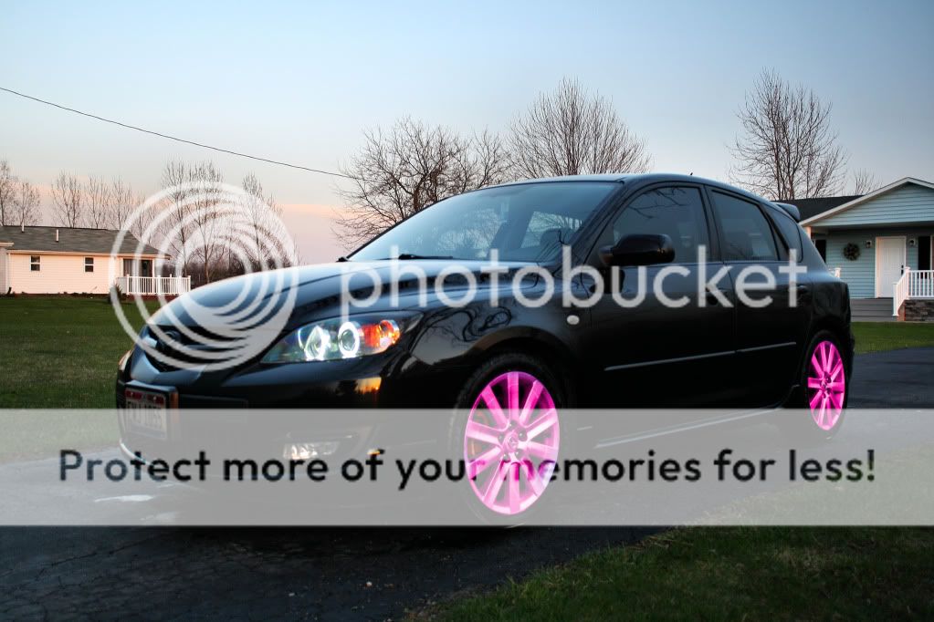 speed3_spring100014ticklemepink.jpg