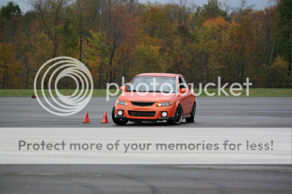 IMG_2311.jpg