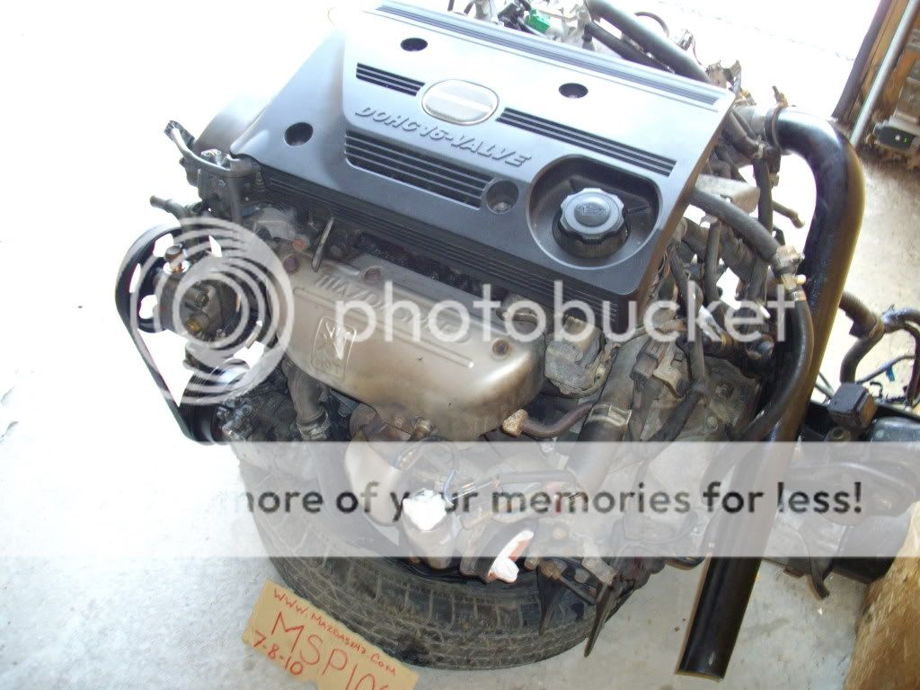 IMGP7137.jpg