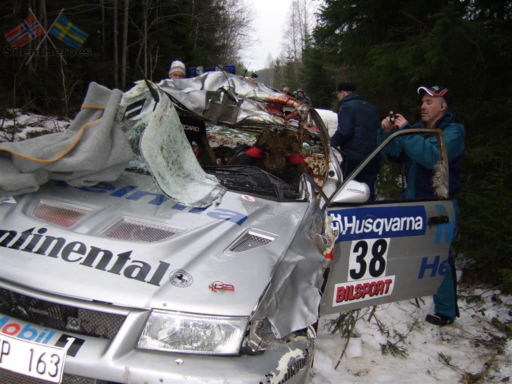 rallycar_vs_moose_2.jpg
