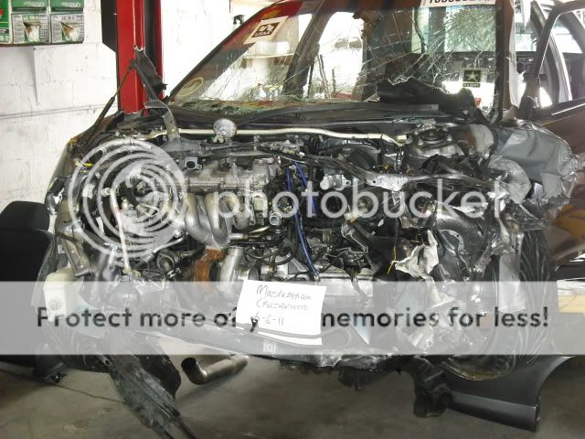 DSCF5954.jpg