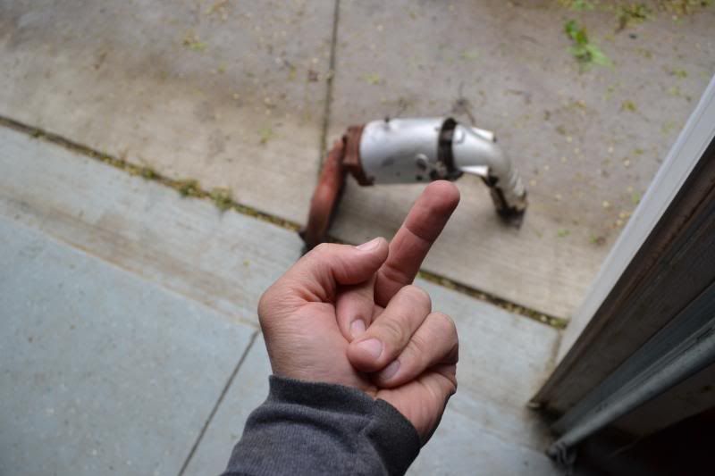 DSC_0979.jpg