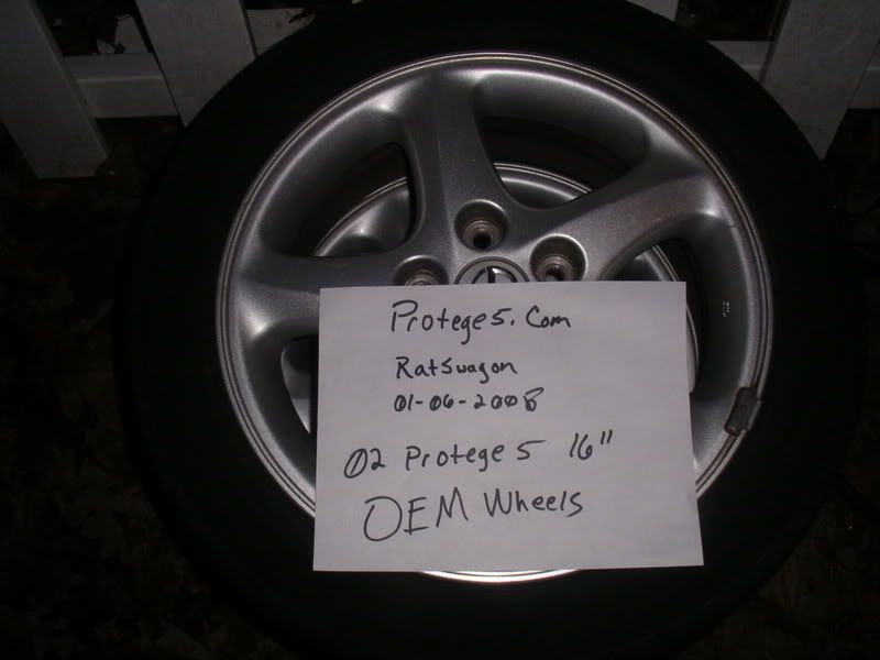 IMGP3605.jpg