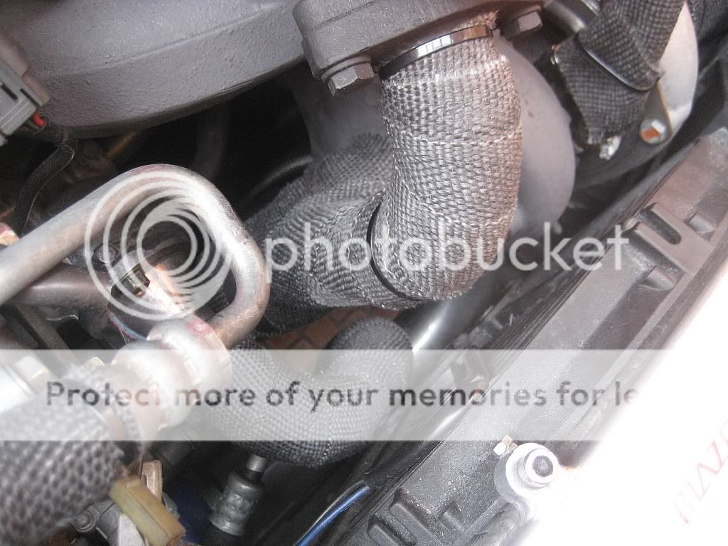 EngineBayNov201012.jpg