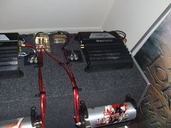 435486275_feeaa6710a_m.jpg