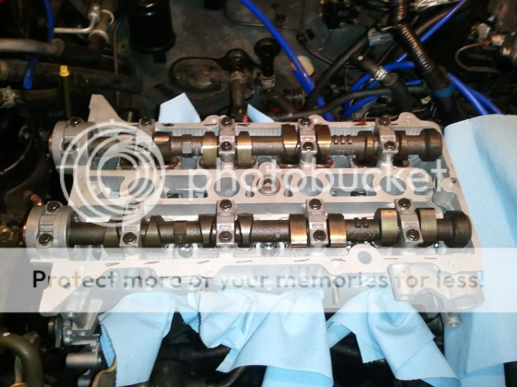 2011-08-15090221.jpg