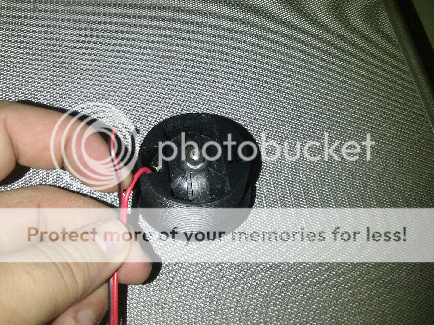 IMG-20120913-00128.jpg