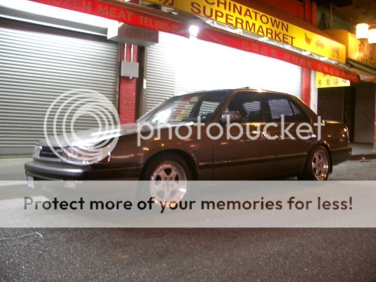 IMGP3338.jpg