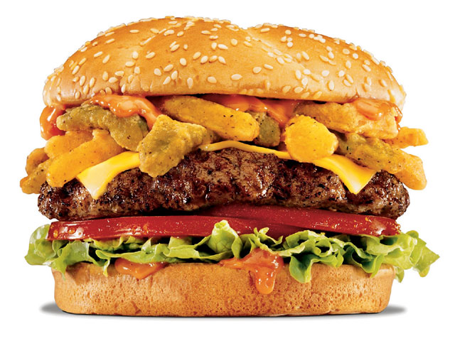 0707dp_10_z2007_july_diesel_industry_newshamburger1.jpg