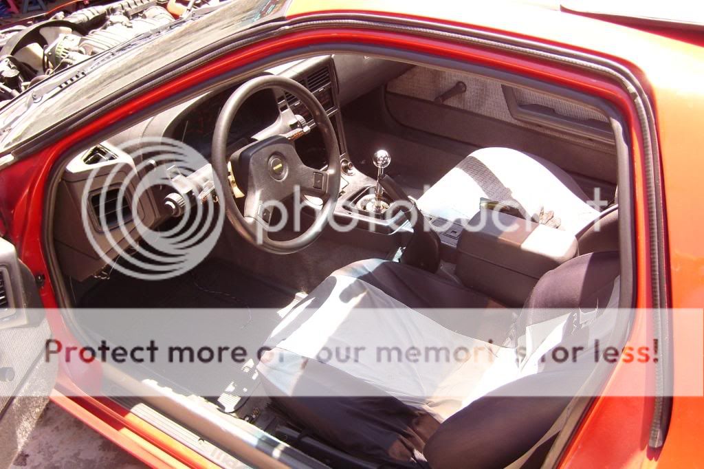 SL731134.jpg