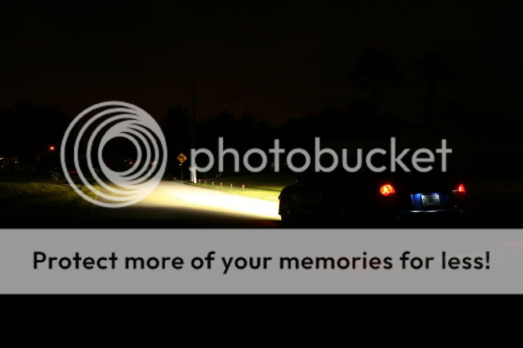 light019.jpg