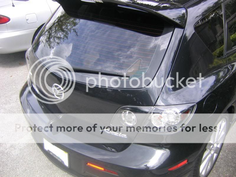 IMG_3857a.jpg