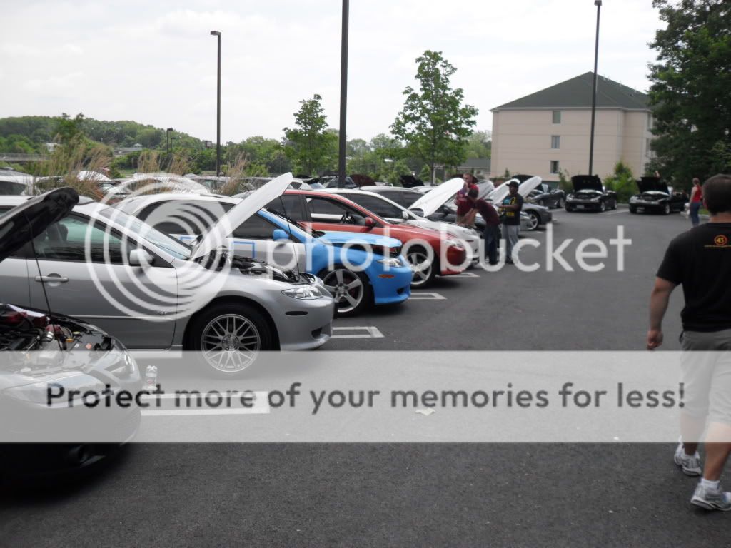 SDC11701.jpg