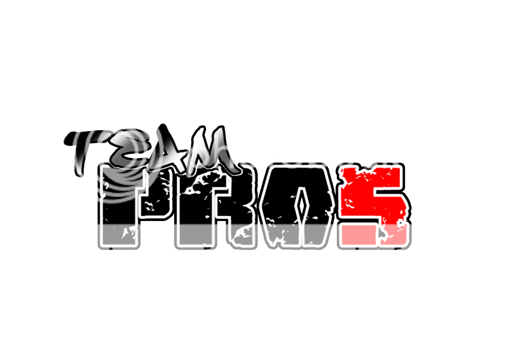Logoexamplenewpro5.png