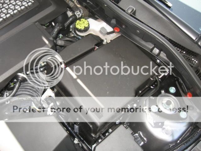 IMG_1535.jpg