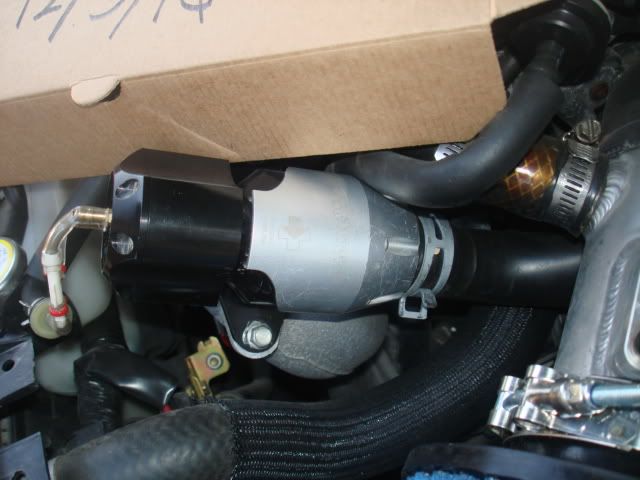 DSC00426.jpg