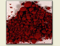 carmine.jpg