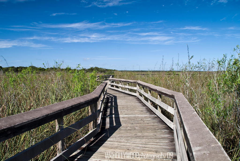 the_Winding_Path_by_Johnny23xx.jpg