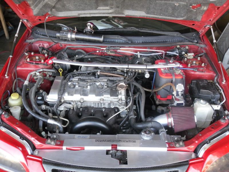 SDC10936.jpg